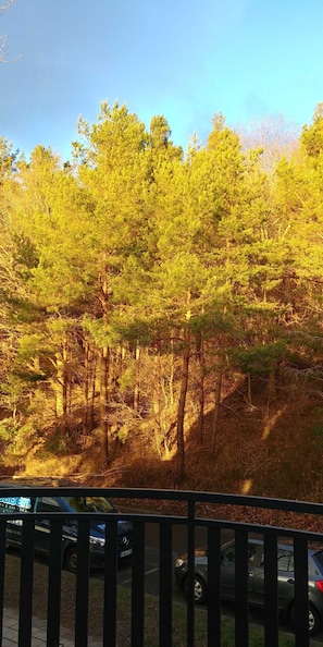 Boendeområde