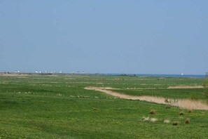 Aussicht zur Ostsee vom 1. Schlafzimmer aus