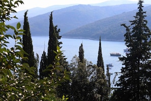 external view
