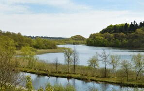 area