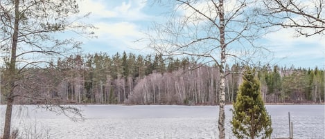 Terrain de l’hébergement 