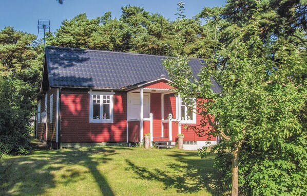 Exteriör