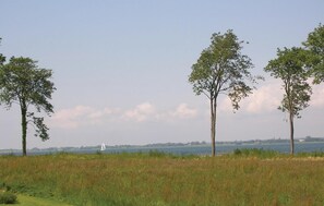 area