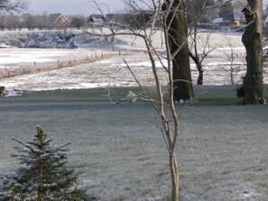 Blick vom Grundstück auf die Treene