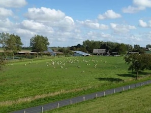 Nordseehof Reitz
