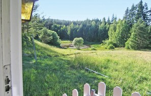 view-from-room
