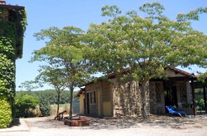 external view