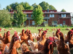 Overnatningsstedets område
