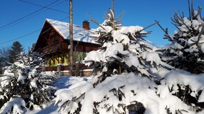 Exteriör