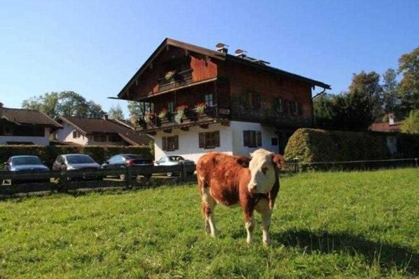 Ferienwohnungen Haus Katharina