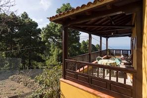 Back terrace with sea view and to the forest