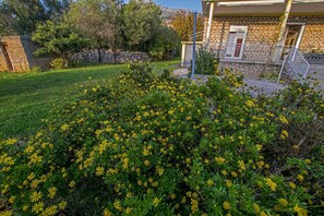 jardin