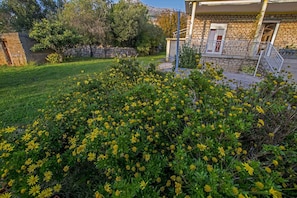 jardin