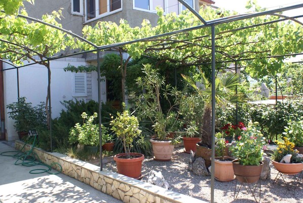 external view