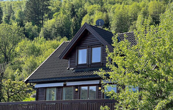 Exteriör