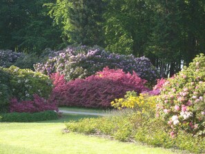 Jardines del alojamiento