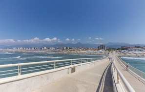 area