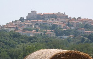 area