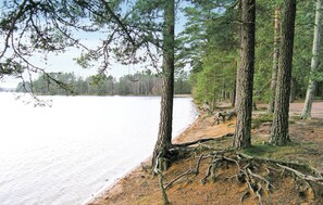 area