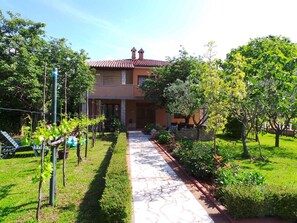 external view