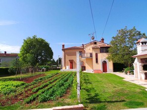 external view