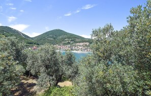 view-from-room
