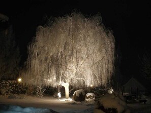 Photo non classée, 3 sur 23, bouton