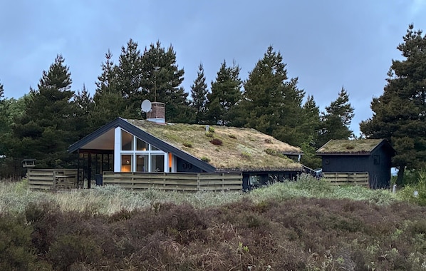 Exteriör