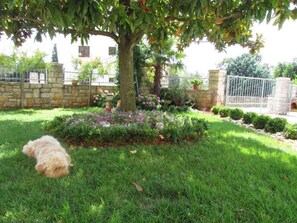 jardin
