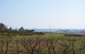view-from-room