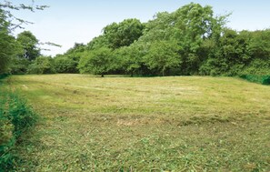 area