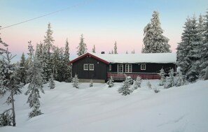 Exteriör