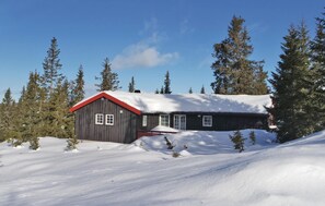 Exteriör
