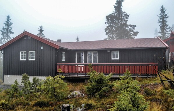 Exteriör