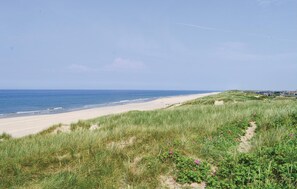 area