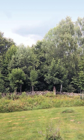 Boendeområde