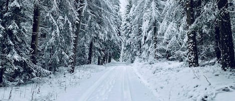 Skidåkning och snöaktiviteter