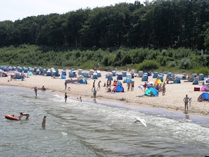 Ostseestrand, Toplage nur 300m zum Strand