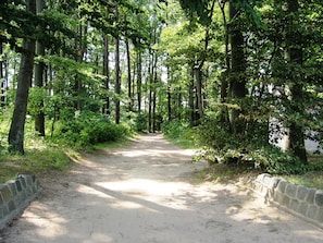 Küstenwald mit idyllischen Wegen