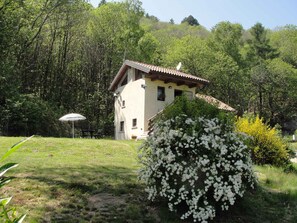 external view