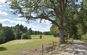 Övrigt