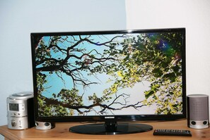 Television