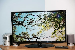 Television