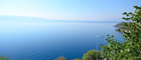 Vista dalla struttura