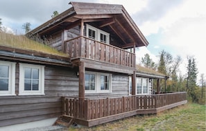 Ulkopuoli