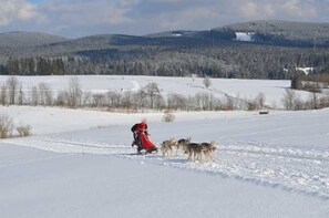 Sports d’hiver