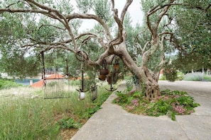 jardin