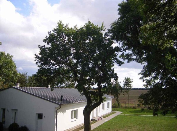 external view