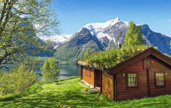 Exteriör