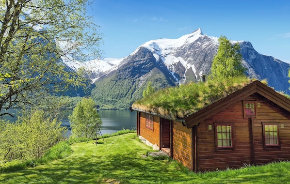 Exteriör